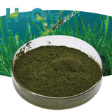 Spirulina